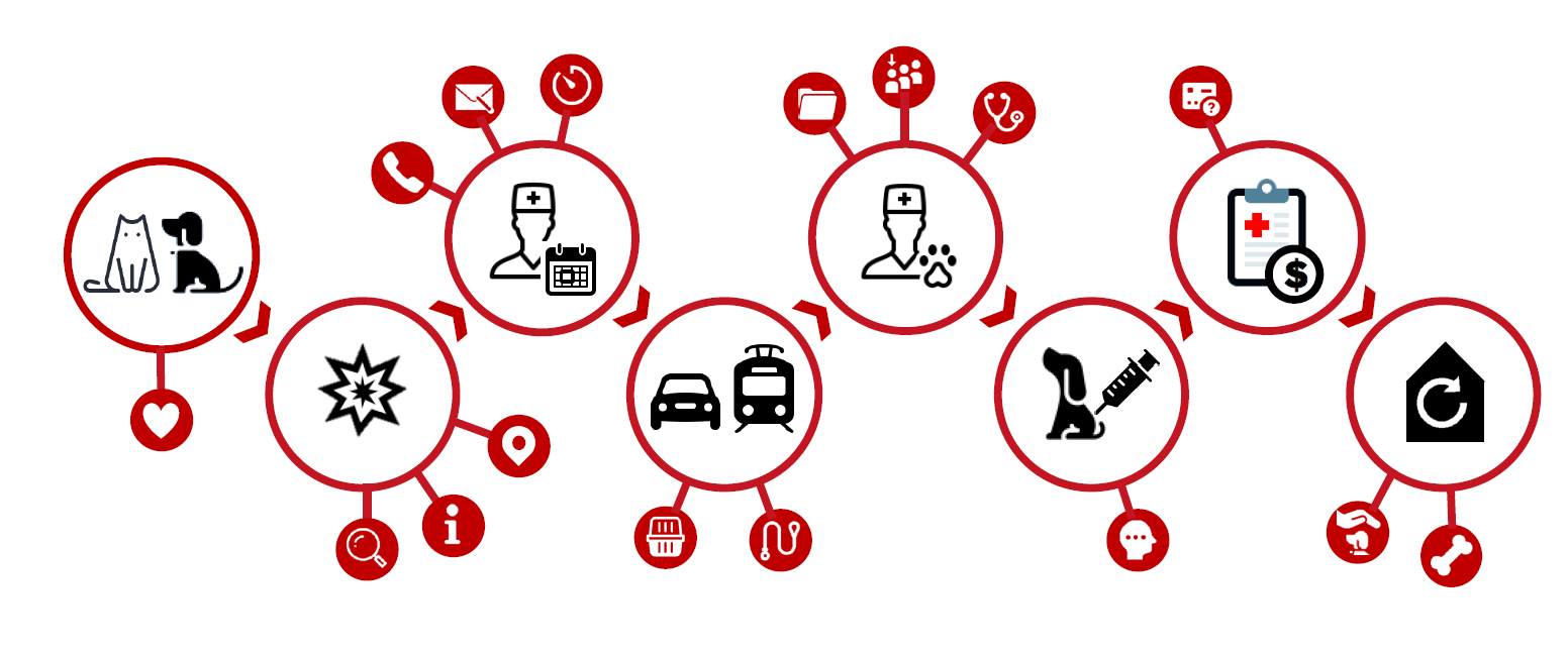 Customer journey for visting the vet